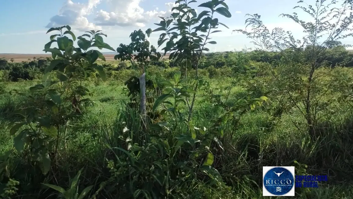 Foto 2 de Fazenda / Haras à venda, 144m2 em Montes Claros De Goias - GO