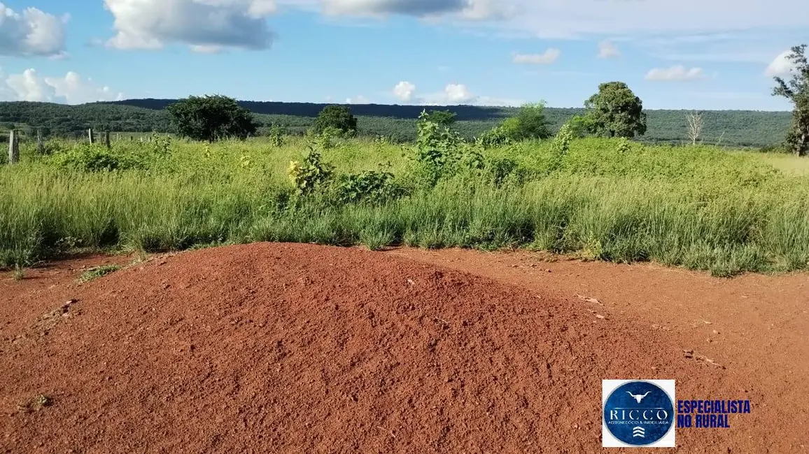 Foto 1 de Fazenda / Haras à venda, 144m2 em Montes Claros De Goias - GO