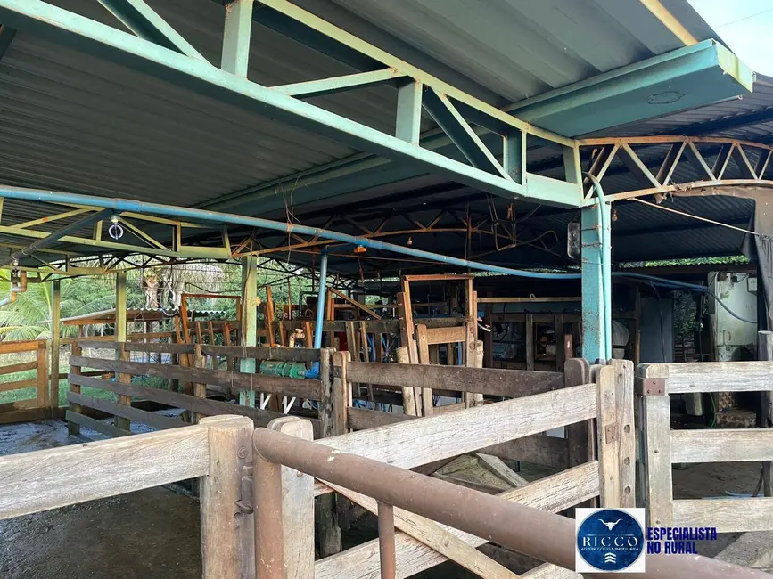 Foto 6 de Chácara com 3 quartos à venda em Itaberai - GO