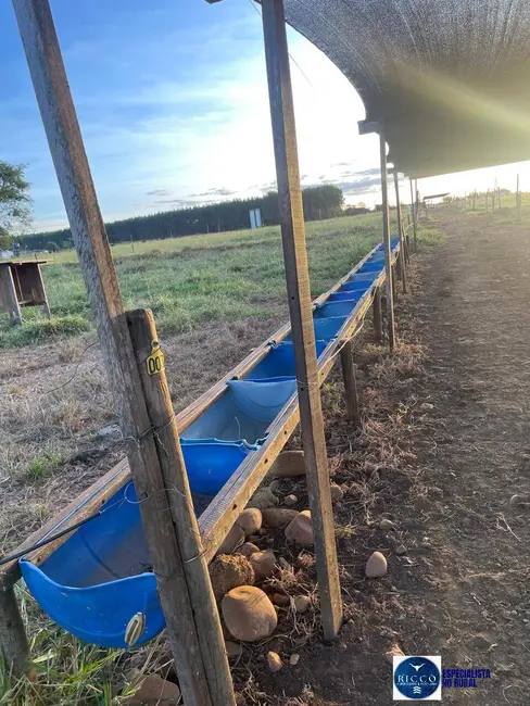 Foto 9 de Chácara com 3 quartos à venda em Itaberai - GO