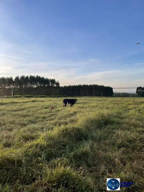 Foto 1 de Chácara à venda em Itaberai - GO