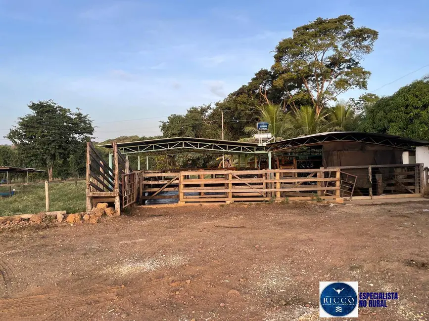 Foto 5 de Chácara com 3 quartos à venda em Itaberai - GO