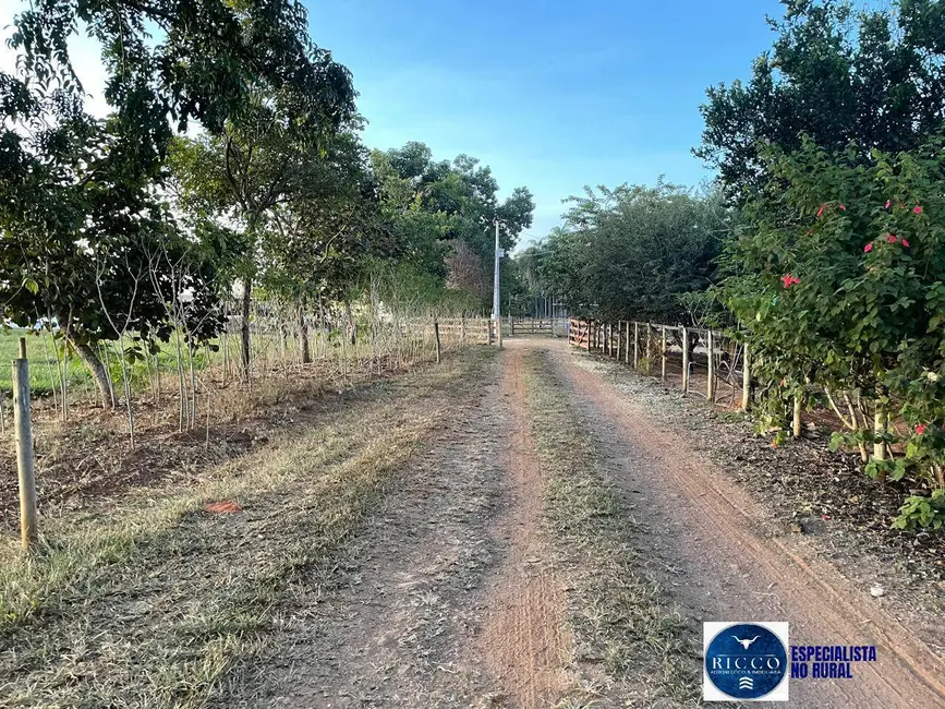 Foto 8 de Chácara com 3 quartos à venda em Itaberai - GO