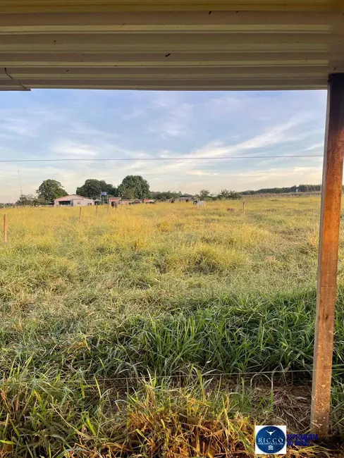 Foto 2 de Chácara com 3 quartos à venda em Itaberai - GO