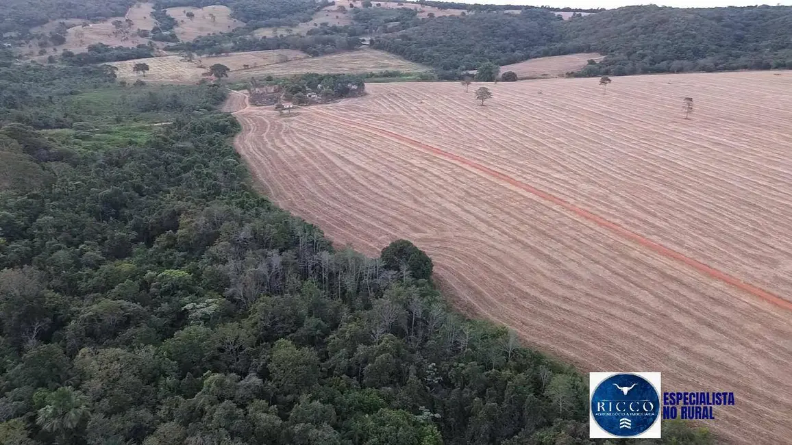 Foto 7 de Fazenda / Haras à venda, 35m2 em Bela Vista De Goias - GO