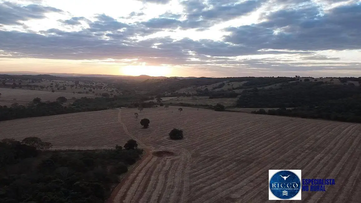 Foto 9 de Fazenda / Haras à venda, 35m2 em Bela Vista De Goias - GO