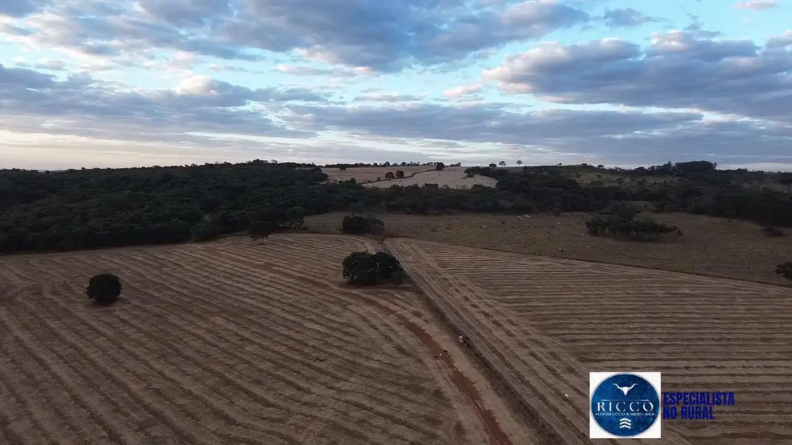 Foto 2 de Fazenda / Haras à venda, 35m2 em Bela Vista De Goias - GO