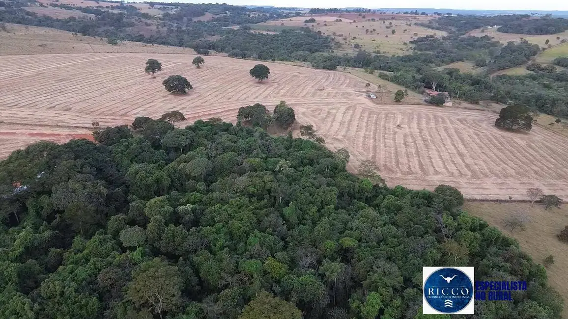 Foto 6 de Fazenda / Haras à venda, 35m2 em Bela Vista De Goias - GO