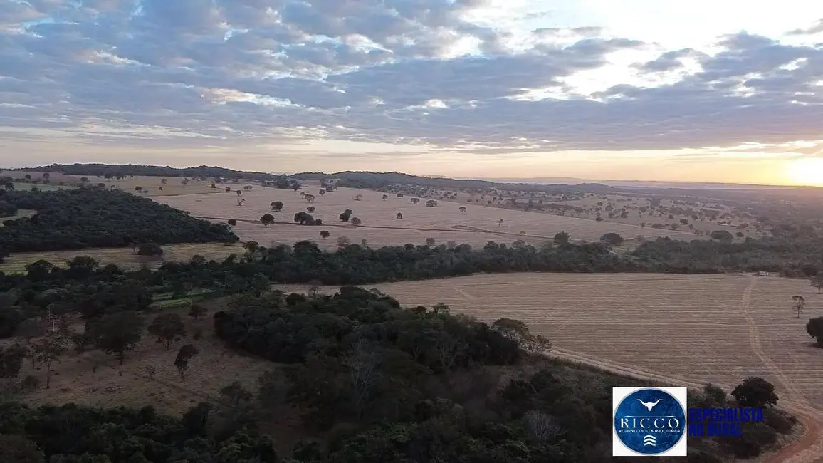 Foto 4 de Fazenda / Haras à venda, 35m2 em Bela Vista De Goias - GO
