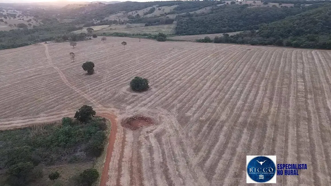 Foto 3 de Fazenda / Haras à venda, 35m2 em Bela Vista De Goias - GO