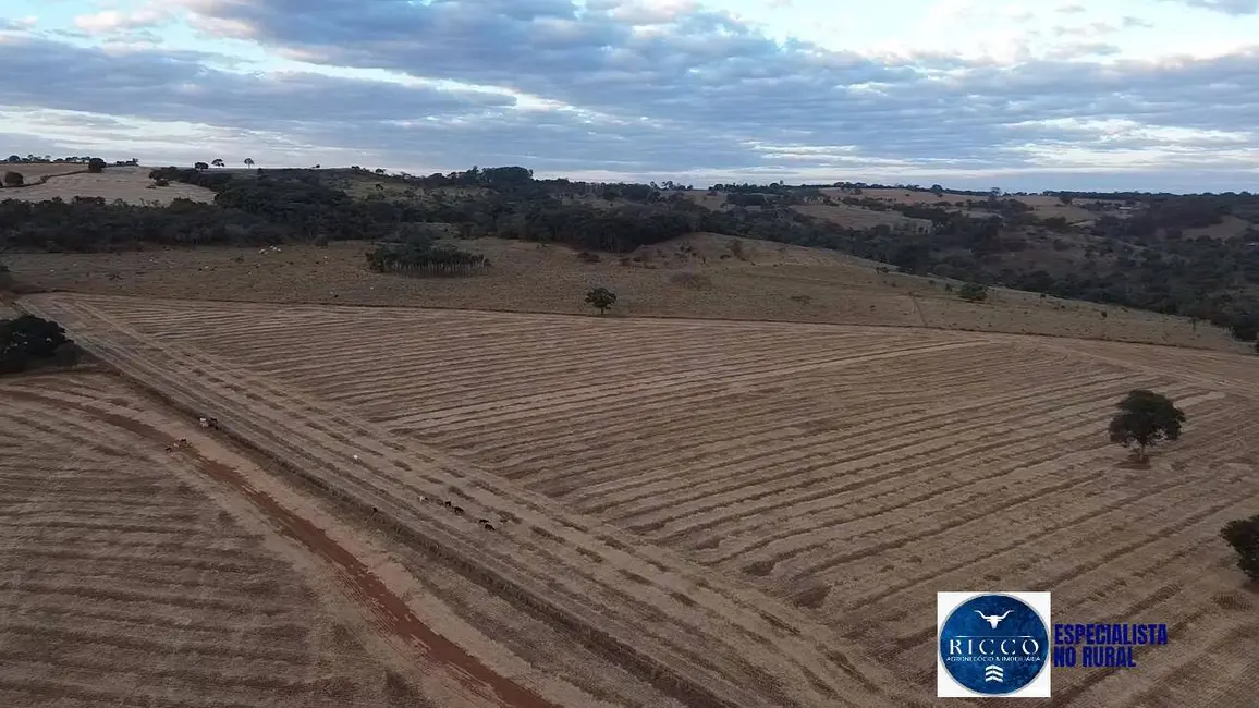 Foto 8 de Fazenda / Haras à venda, 35m2 em Bela Vista De Goias - GO