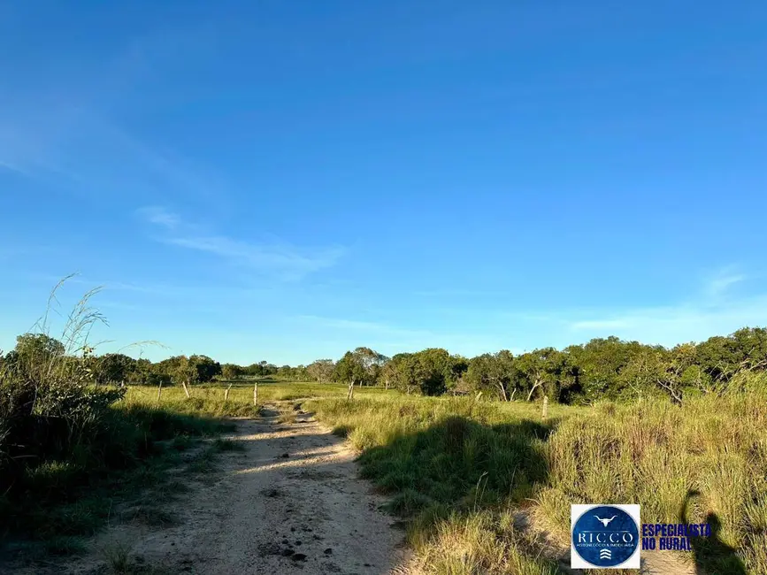 Foto 5 de Fazenda / Haras à venda, 51m2 em Peixe - TO