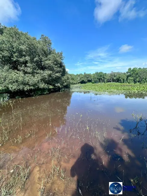 Foto 1 de Fazenda / Haras à venda, 51m2 em Peixe - TO