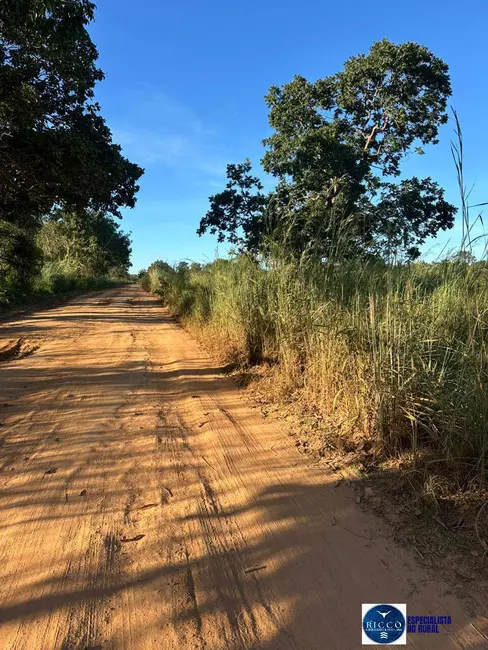 Foto 3 de Fazenda / Haras à venda, 51m2 em Peixe - TO