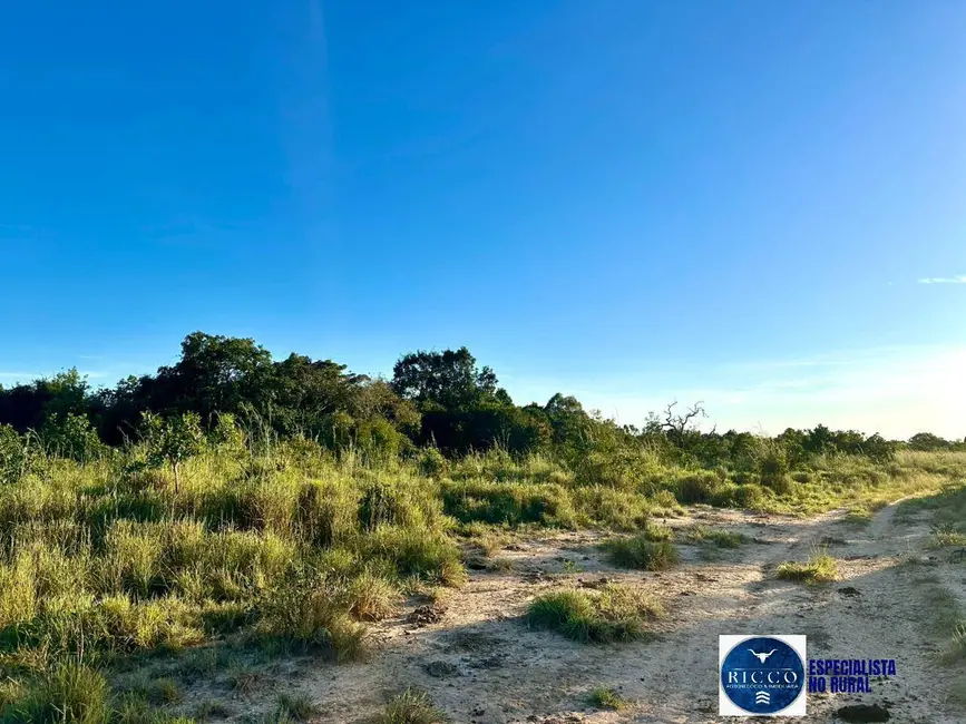 Foto 9 de Fazenda / Haras à venda, 51m2 em Peixe - TO