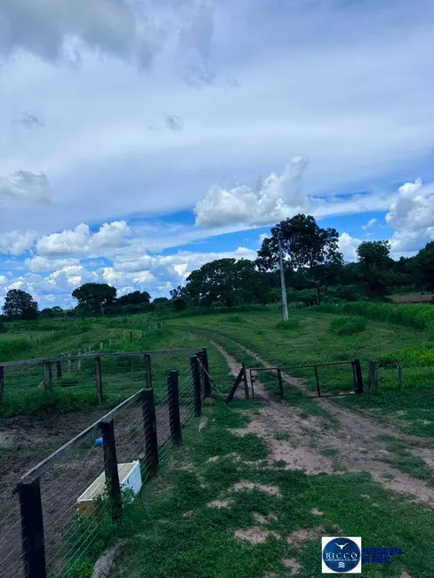Foto 6 de Fazenda / Haras à venda, 51m2 em Peixe - TO