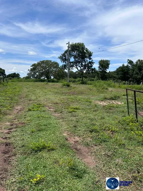 Foto 2 de Fazenda / Haras à venda, 51m2 em Peixe - TO
