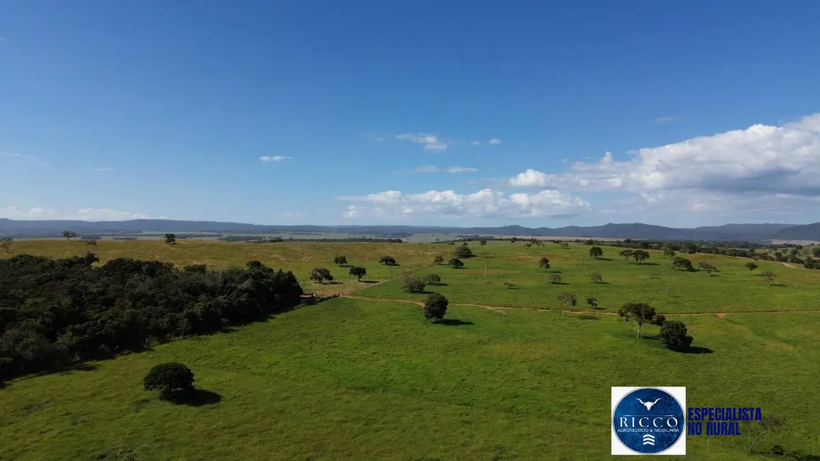 Foto 4 de Fazenda / Haras com 3 quartos à venda, 166m2 em Vila Propicio - GO