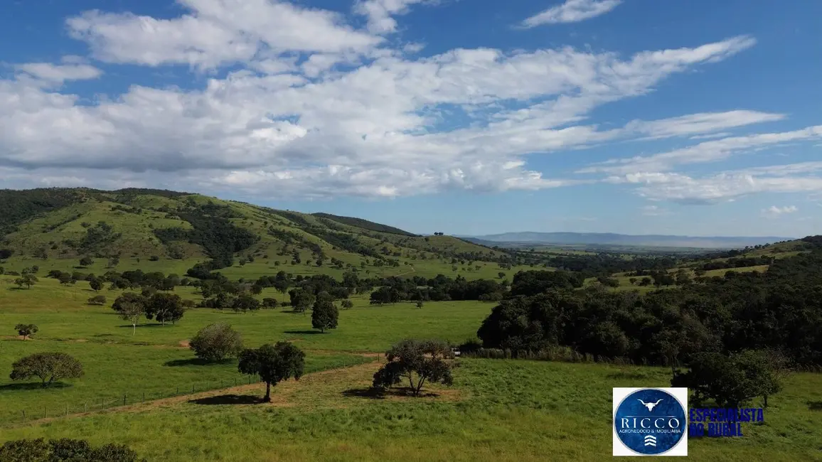 Foto 5 de Fazenda / Haras com 3 quartos à venda, 166m2 em Vila Propicio - GO