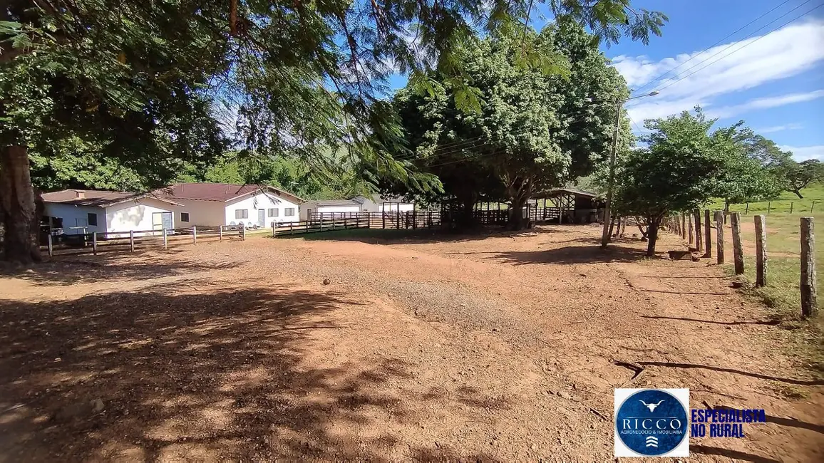 Foto 3 de Fazenda / Haras com 3 quartos à venda, 166m2 em Vila Propicio - GO
