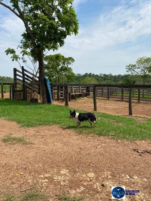 Foto 2 de Fazenda / Haras à venda, 98m2 em Bom Jardim De Goias - GO