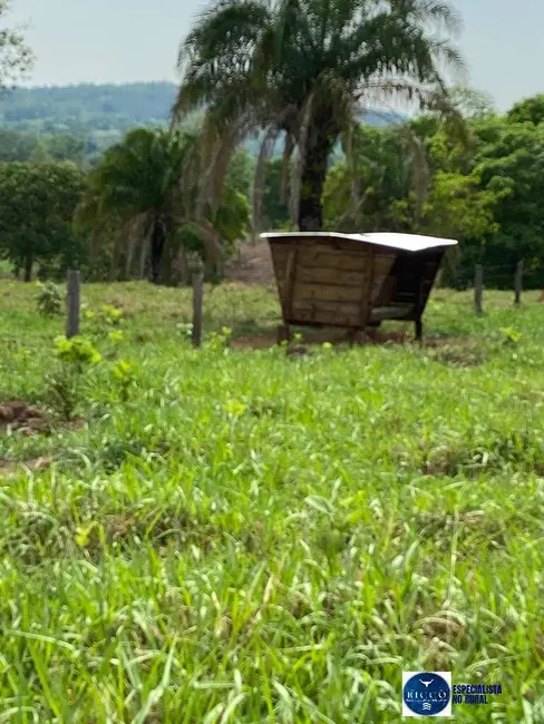 Fazenda / Haras à venda, 98m2 em Bom Jardim De Goias - GO - imagem 8 Foto 8 de Fazenda / Haras à venda, 98m2 em Bom Jardim De Goias - GO
