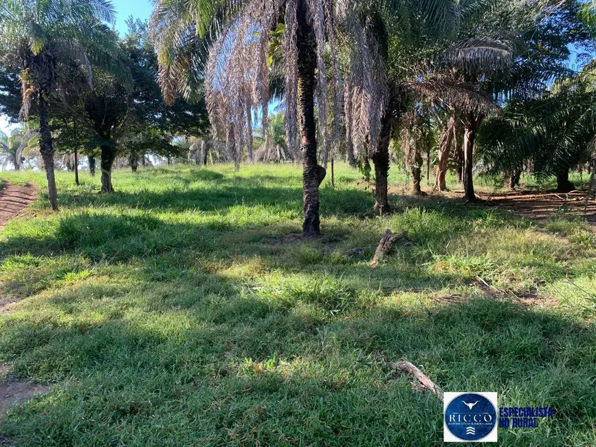 Fazenda / Haras à venda, 98m2 em Bom Jardim De Goias - GO - imagem 4 Foto 4 de Fazenda / Haras à venda, 98m2 em Bom Jardim De Goias - GO
