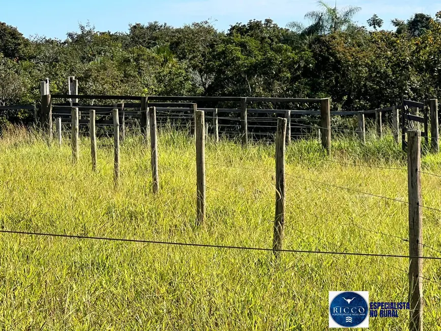 Foto 9 de Chácara com 2 quartos à venda, 16m2 em Parauna - GO