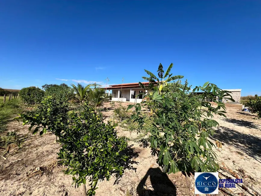 Foto 6 de Chácara com 2 quartos à venda, 16m2 em Parauna - GO