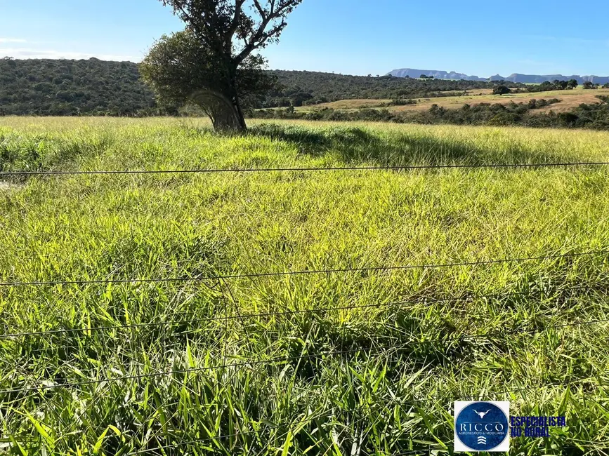 Foto 4 de Chácara com 2 quartos à venda, 16m2 em Parauna - GO