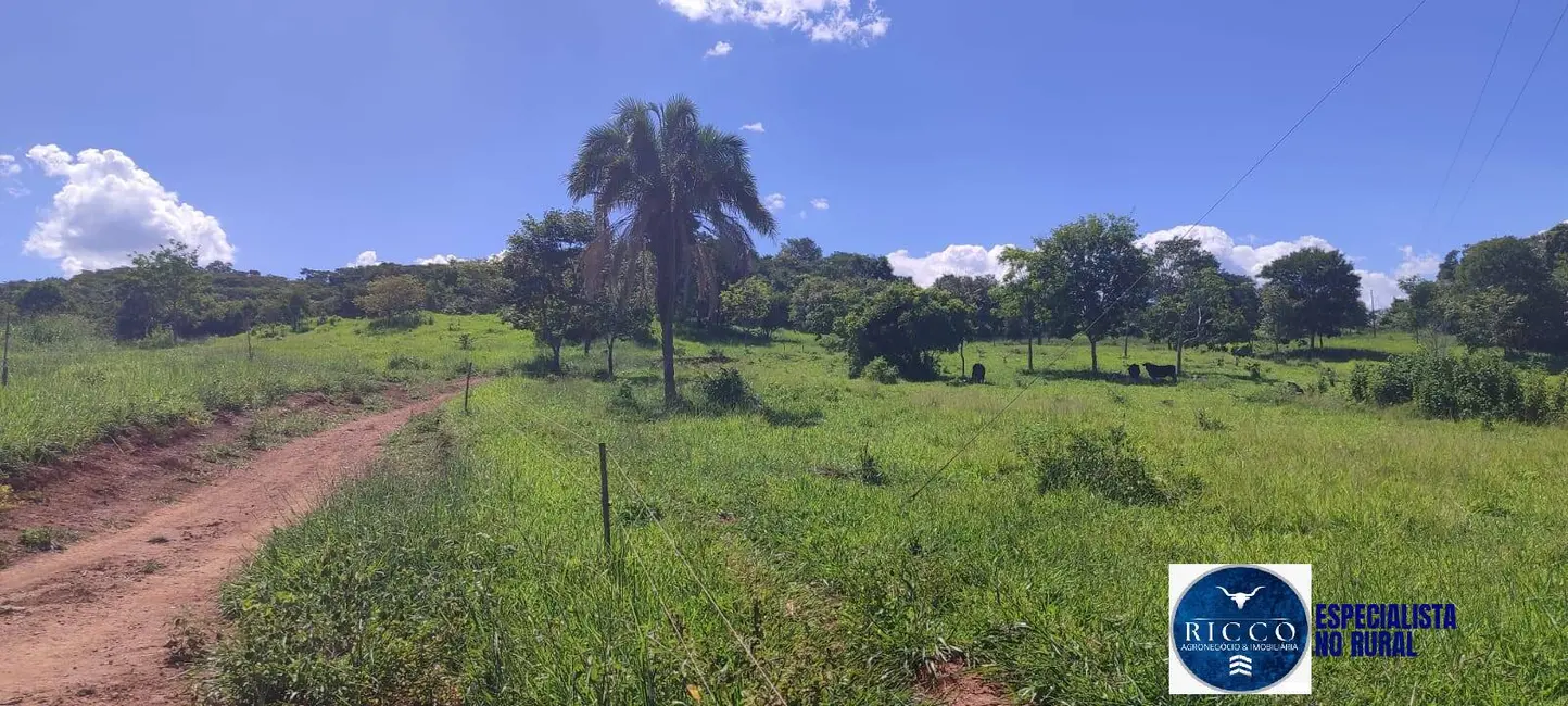 Foto 2 de Chácara à venda em Cezarina - GO