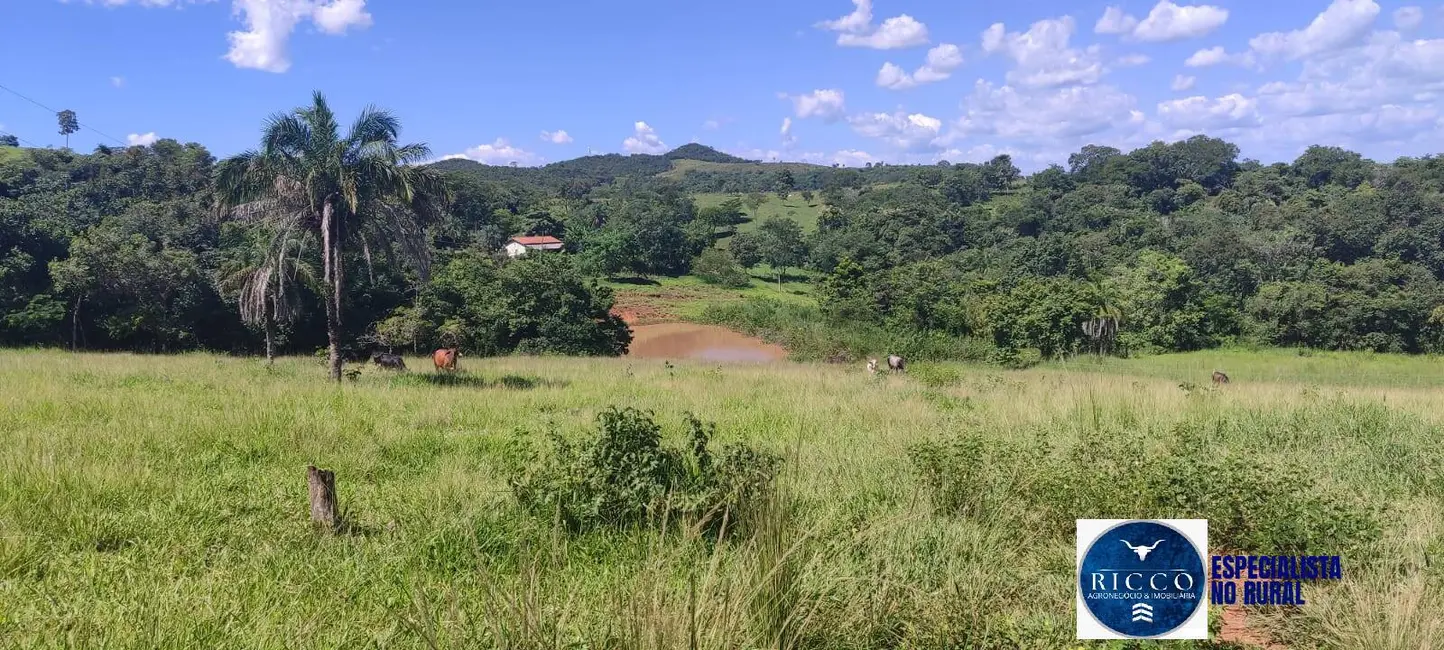 Foto 1 de Chácara à venda em Cezarina - GO