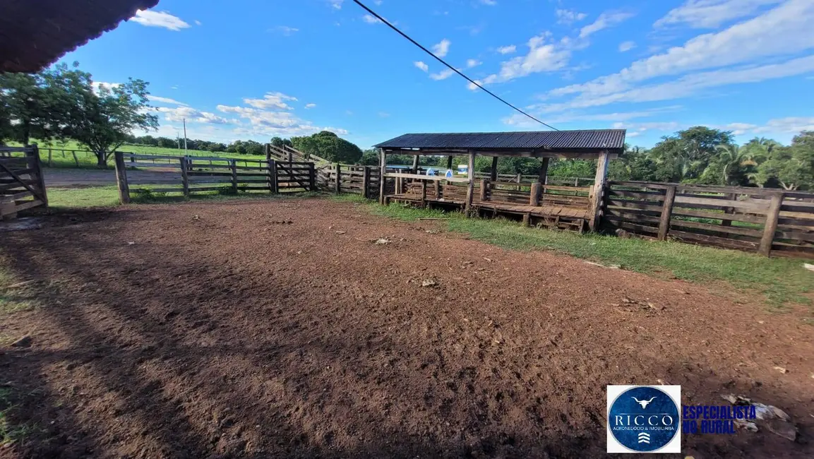 Foto 3 de Fazenda / Haras à venda, 250m2 em Palmeiropolis - TO