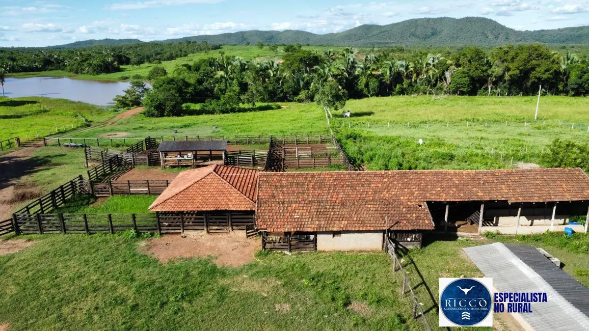 Foto 6 de Fazenda / Haras à venda, 250m2 em Palmeiropolis - TO