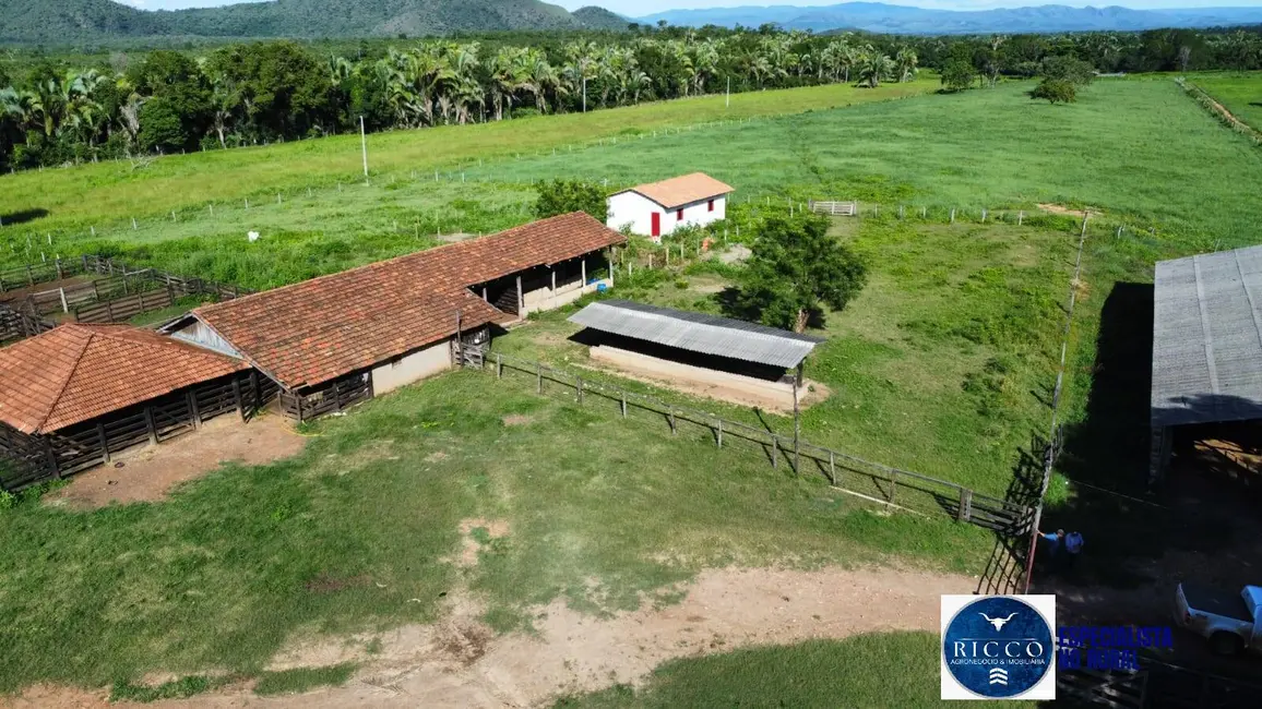 Foto 1 de Fazenda / Haras à venda, 250m2 em Palmeiropolis - TO