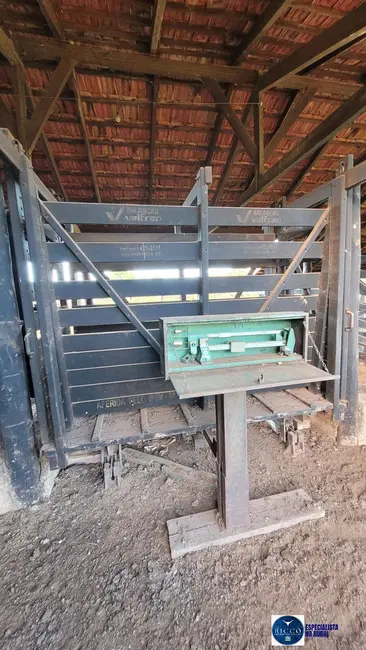 Foto 7 de Fazenda / Haras à venda, 250m2 em Palmeiropolis - TO