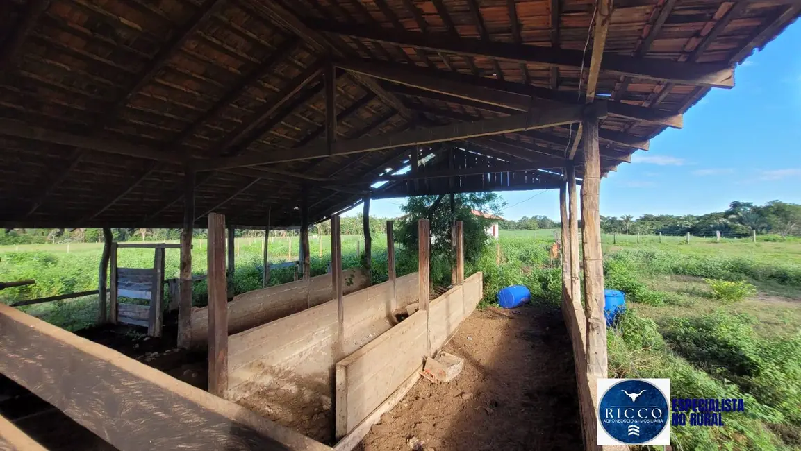 Foto 9 de Fazenda / Haras à venda, 250m2 em Palmeiropolis - TO