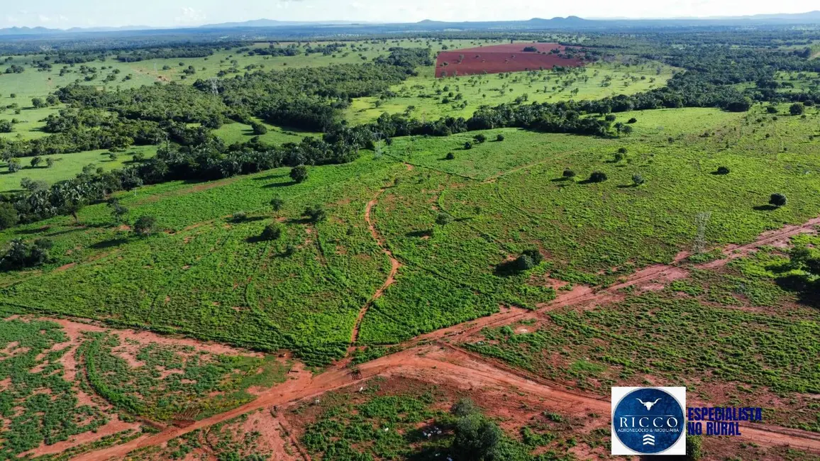 Foto 4 de Fazenda / Haras à venda, 250m2 em Palmeiropolis - TO
