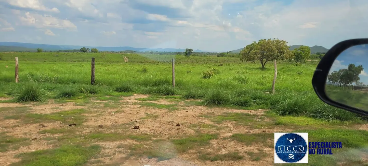 Fazenda / Haras à venda, 311m2 em Palmeiropolis - TO - imagem 5 Foto 5 de Fazenda / Haras à venda, 311m2 em Palmeiropolis - TO