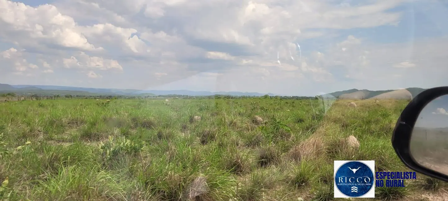 Fazenda / Haras à venda, 311m2 em Palmeiropolis - TO - imagem 4 Foto 4 de Fazenda / Haras à venda, 311m2 em Palmeiropolis - TO