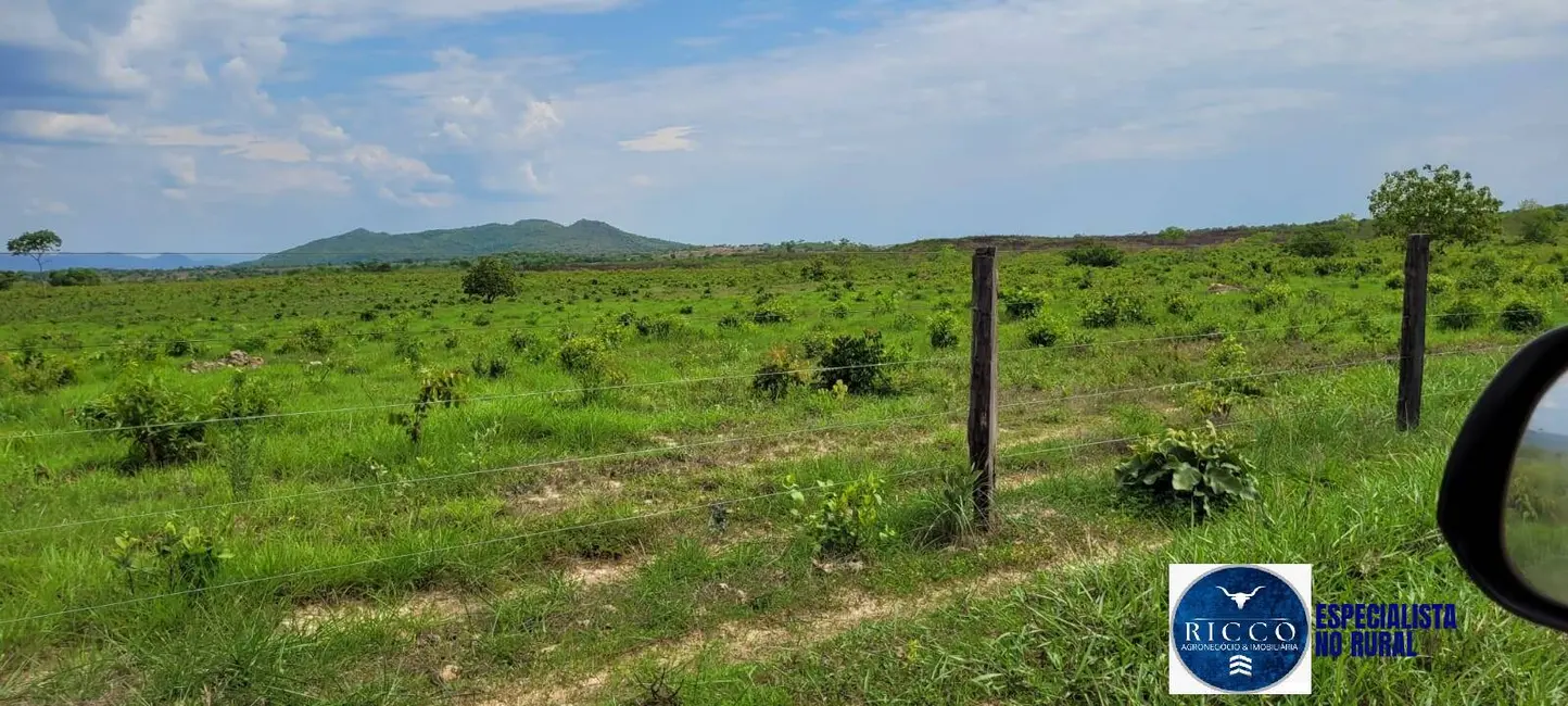 Fazenda / Haras à venda, 311m2 em Palmeiropolis - TO - imagem 6 Foto 6 de Fazenda / Haras à venda, 311m2 em Palmeiropolis - TO