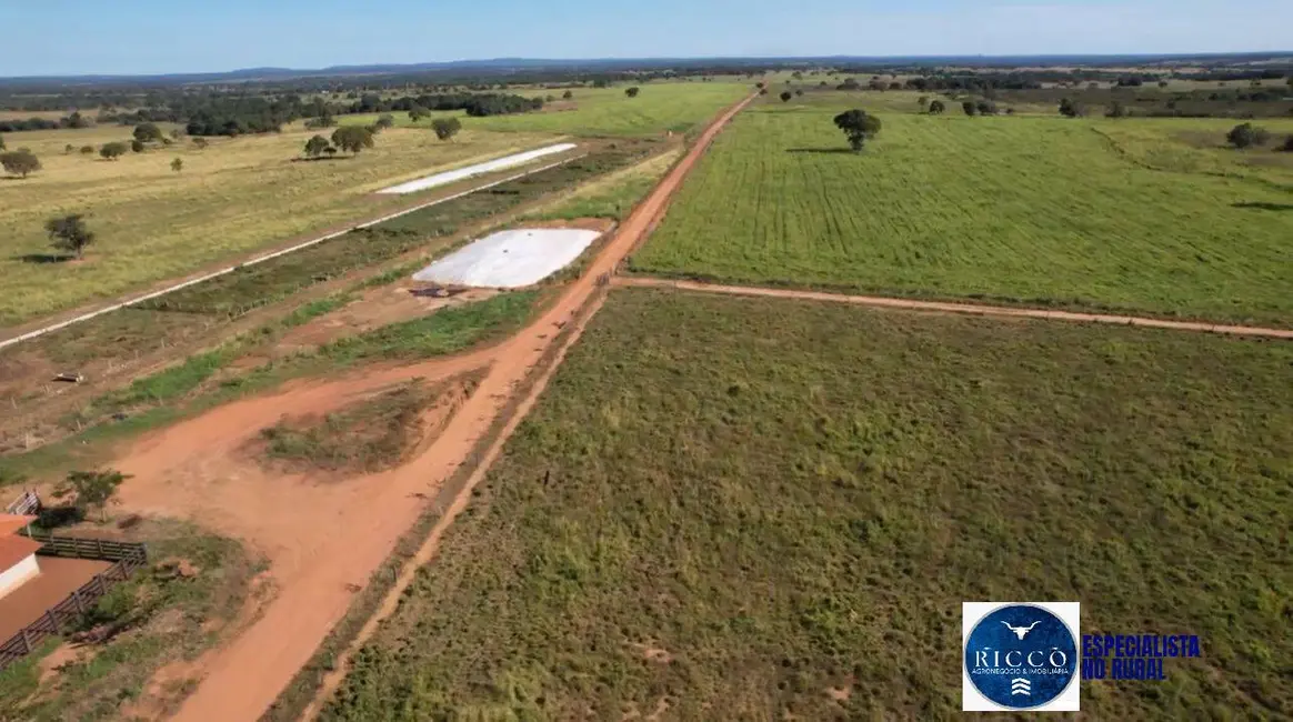 Foto 7 de Fazenda / Haras à venda, 420m2 em Araguacu - TO