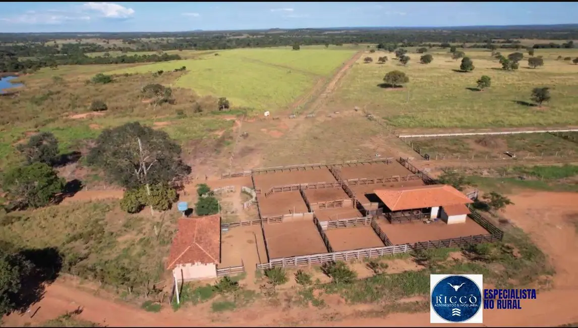 Foto 6 de Fazenda / Haras à venda, 420m2 em Araguacu - TO