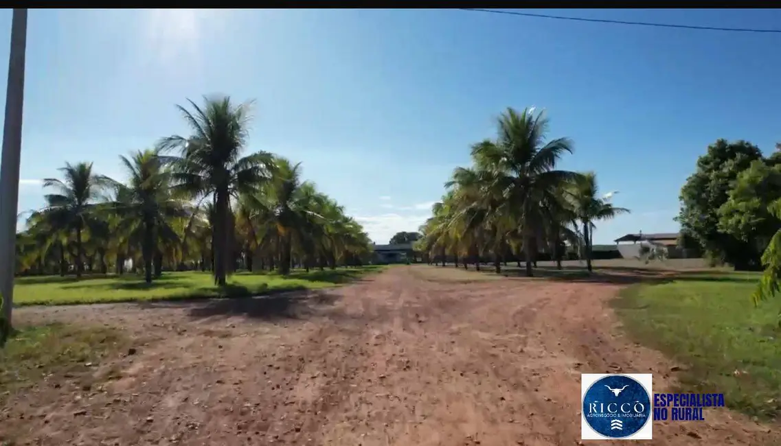 Foto 3 de Fazenda / Haras à venda, 420m2 em Araguacu - TO