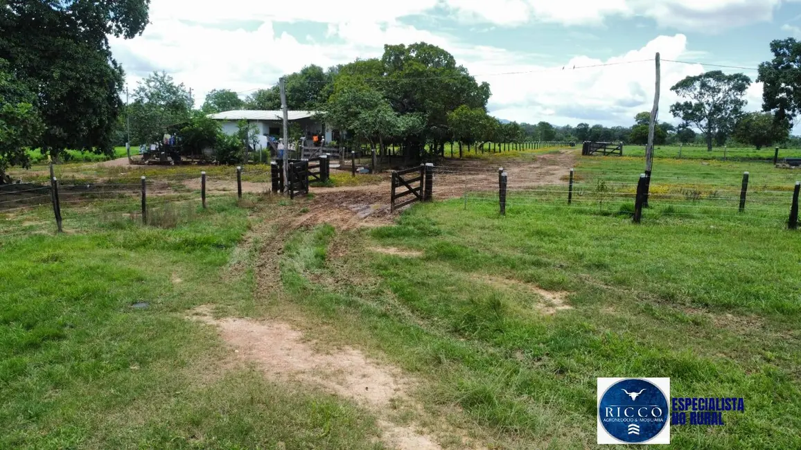 Fazenda / Haras à venda, 294m2 em Palmeiropolis - TO - imagem 2 Foto 2 de Fazenda / Haras à venda, 294m2 em Palmeiropolis - TO