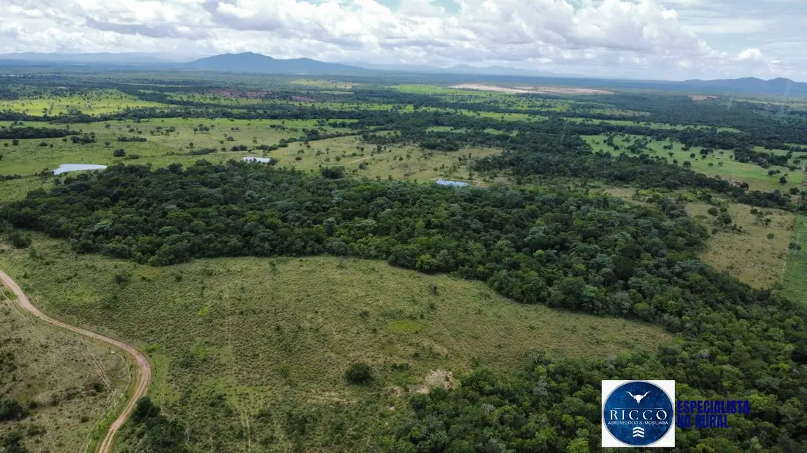Fazenda / Haras à venda, 294m2 em Palmeiropolis - TO - imagem 4 Foto 4 de Fazenda / Haras à venda, 294m2 em Palmeiropolis - TO