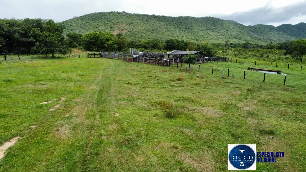 Fazenda / Haras à venda, 294m2 em Palmeiropolis - TO - imagem 3 Foto 3 de Fazenda / Haras à venda, 294m2 em Palmeiropolis - TO