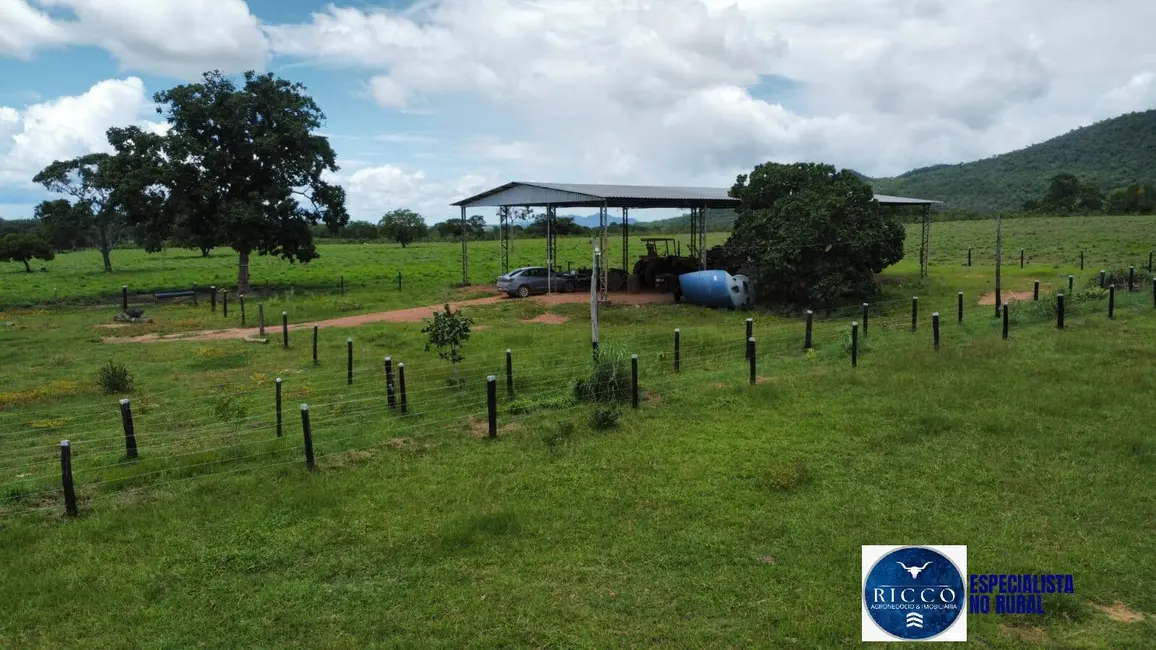 Fazenda / Haras à venda, 294m2 em Palmeiropolis - TO - imagem 5 Foto 5 de Fazenda / Haras à venda, 294m2 em Palmeiropolis - TO