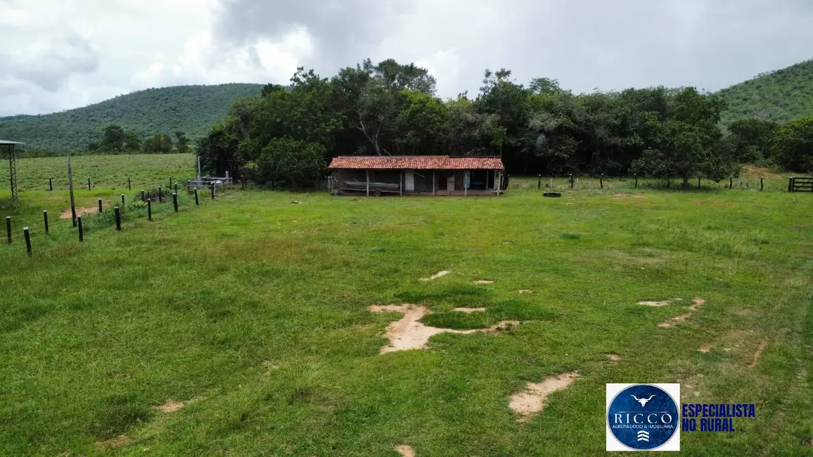 Fazenda / Haras à venda, 294m2 em Palmeiropolis - TO - imagem 6 Foto 6 de Fazenda / Haras à venda, 294m2 em Palmeiropolis - TO