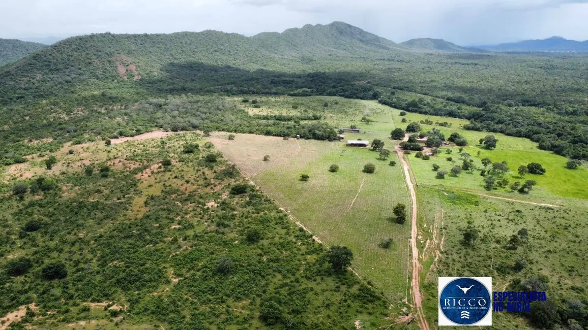 Fazenda / Haras à venda, 294m2 em Palmeiropolis - TO - imagem 1 Foto 1 de Fazenda / Haras à venda, 294m2 em Palmeiropolis - TO